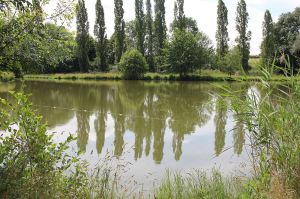 Photo de la commune de Les Sorinières