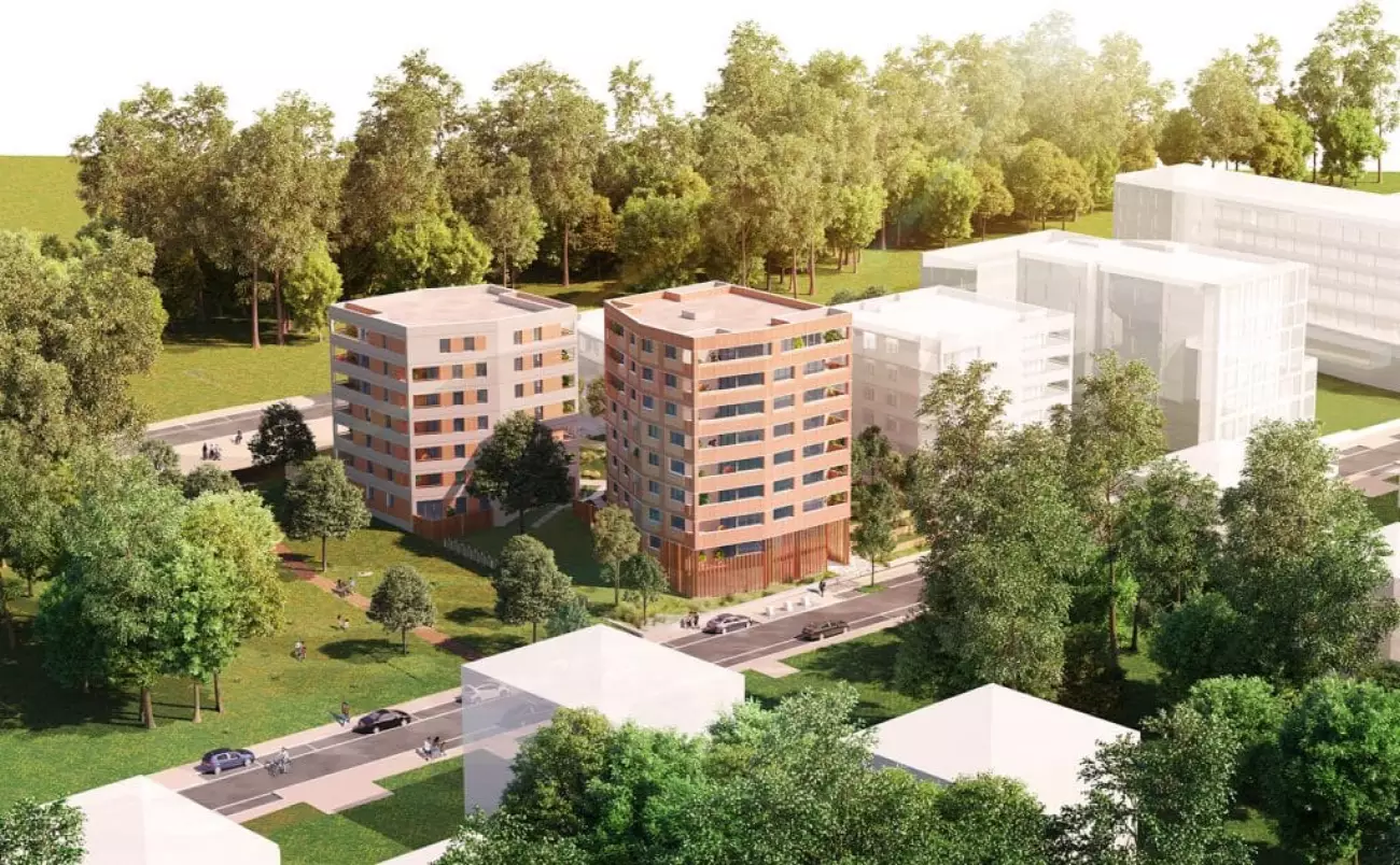 Programme In Wood à Erdre #7105 - aperçu n°3