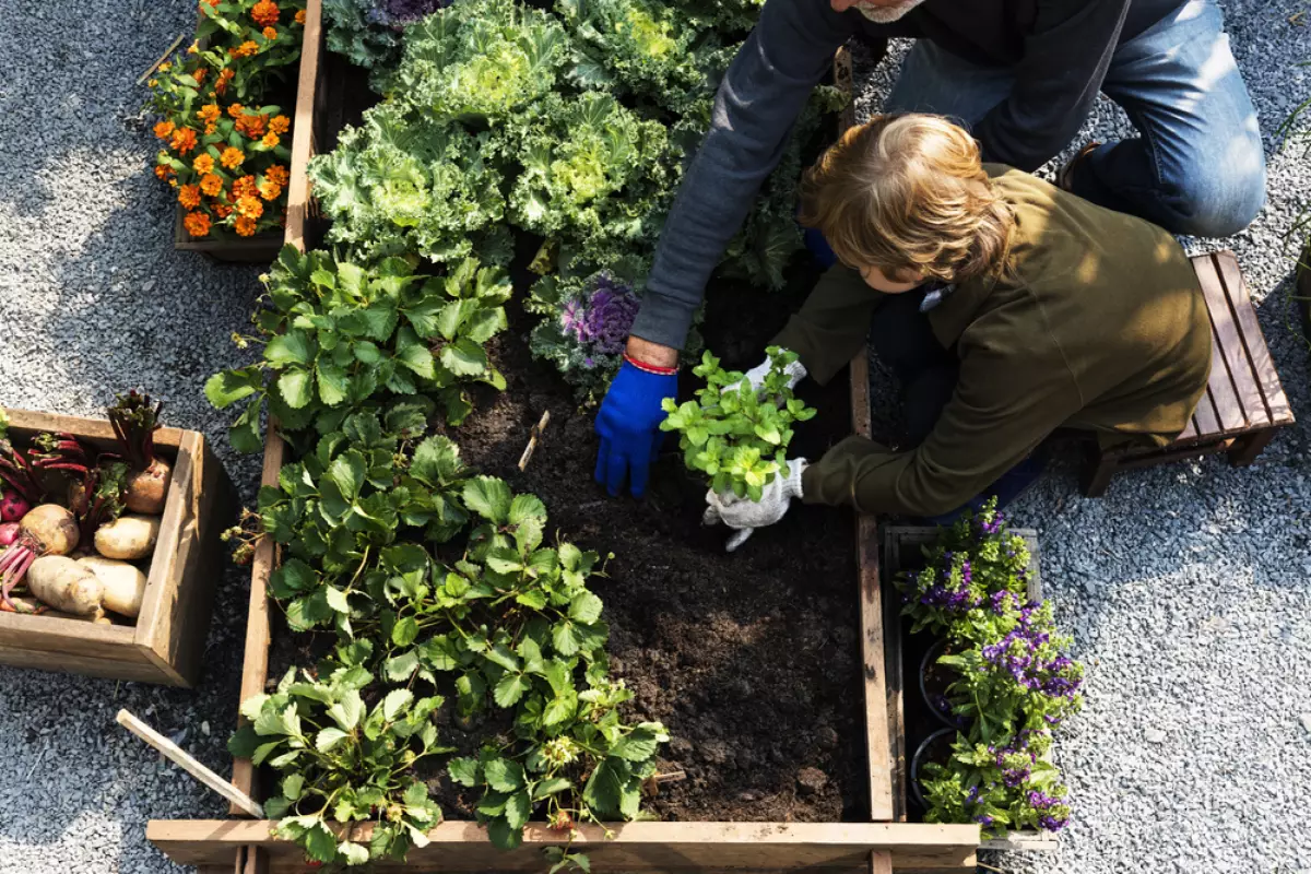 Ferme urbaine à Nantes – vue sur un potager