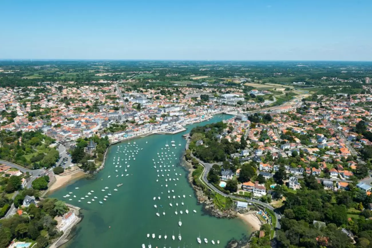 Programme Cèdres Bleus à Pornic #6501 - aperçu n°4