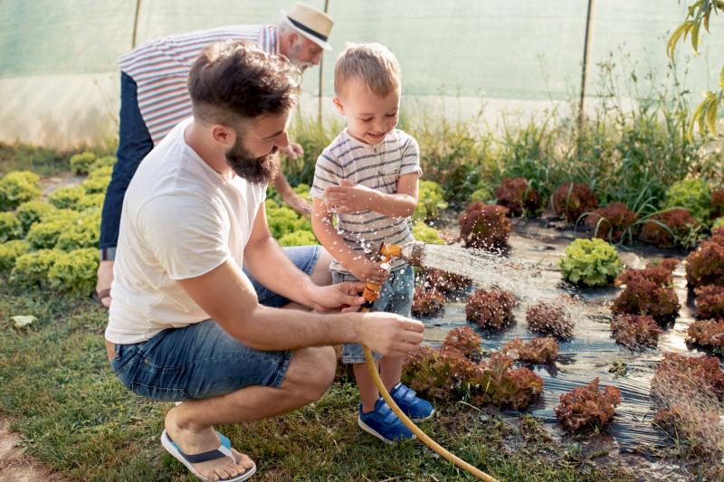 Nantes Nord – Un père et son fils jardinent dans un potager