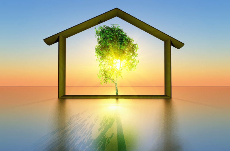 Habitat durable Nantes – Une maison et un arbre symboles de la construction écologique