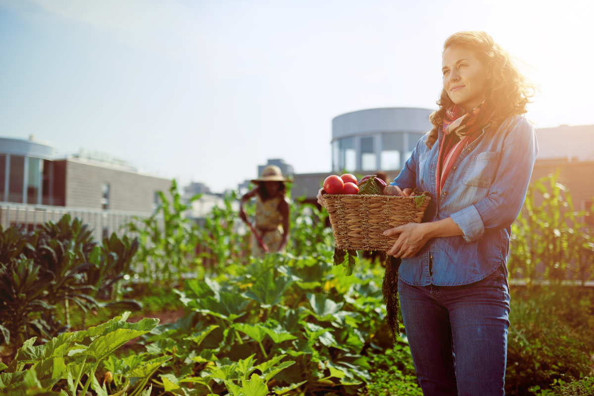 Quartier Doulon Nantes – Une femme récoltant des légumes dans une ferme urbaine
