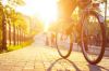 Place de la Petite Hollande Nantes – Un vélo roulant sur un axe réservé aux vélos au coucher de soleiltitle