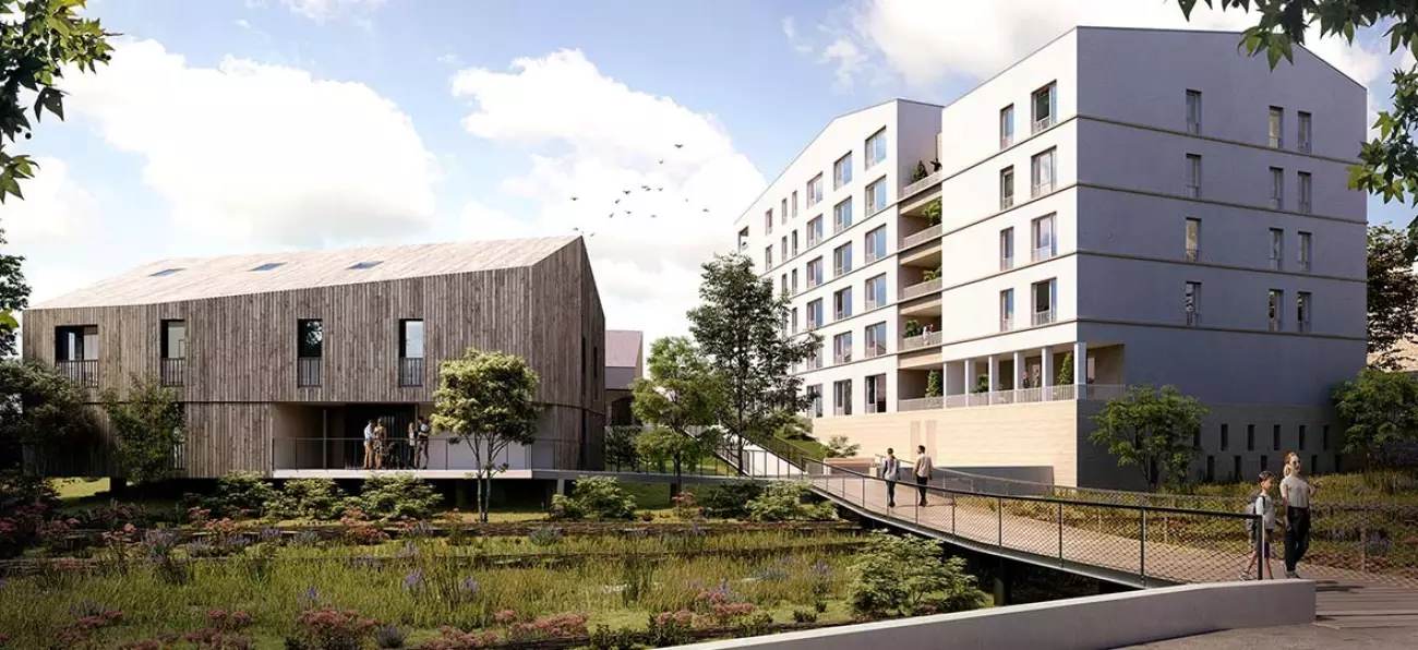 Programme Amaryllis à Hauts pavés Saint-Félix #6551 - aperçu n°1