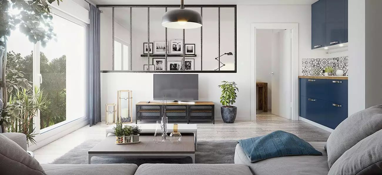 Programme Amaryllis à Hauts pavés Saint-Félix #6551 - aperçu n°2