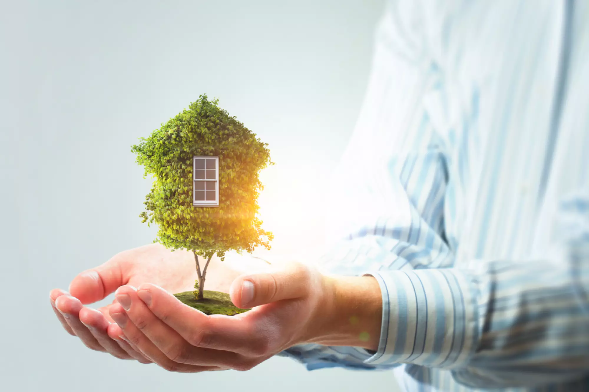 un homme tient une maison-arbre dans ses mains