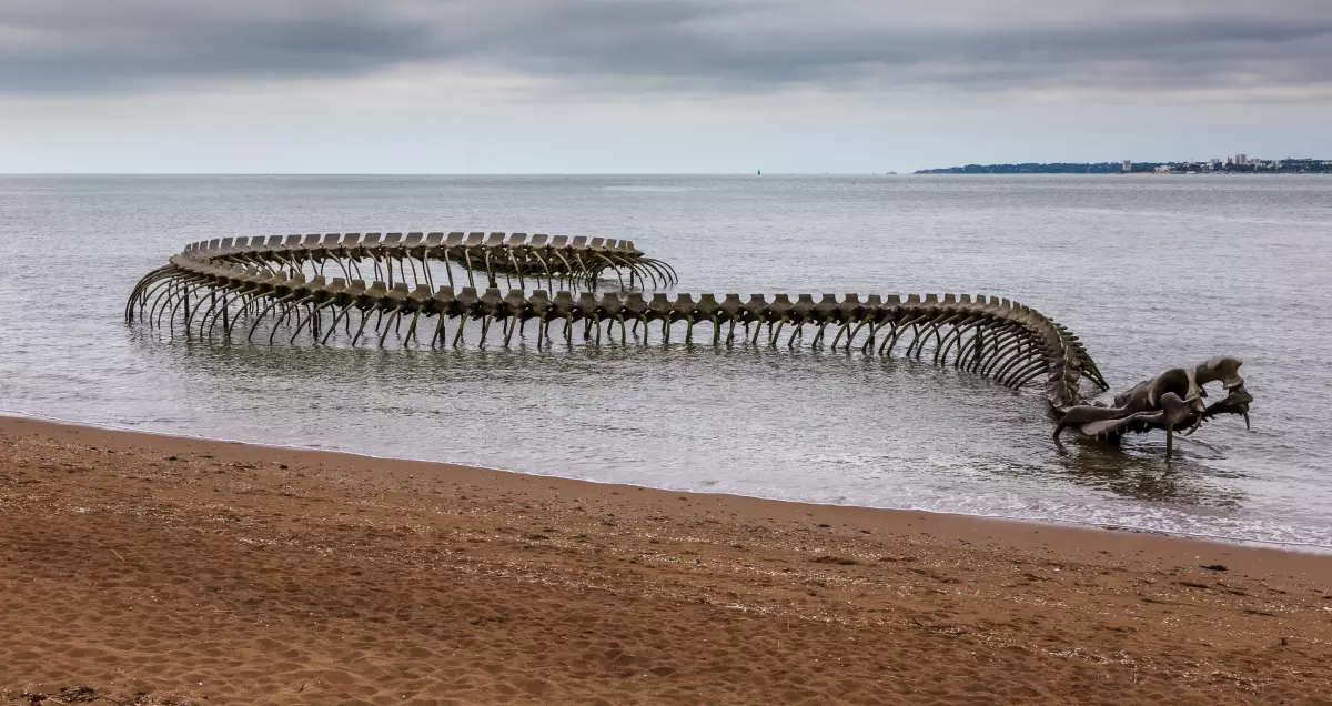 plusieurs stations balnéaires réputées de la côte Atlantique sont concernées par le changement de zonage. la sculpture squelette de serpent à Saint-Brévin les Pins