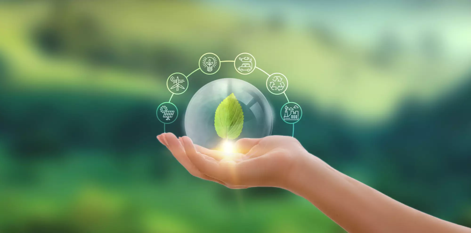 une fuille dans une bulle au creux d'une main avec des symboles liés à l'écologie