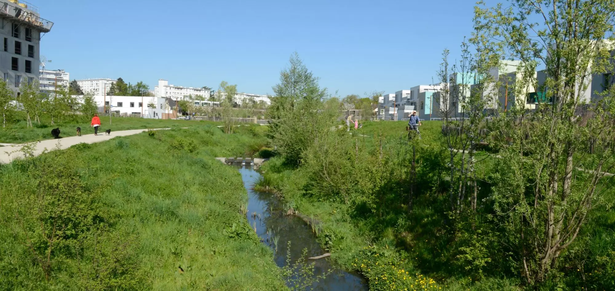 Ruisseau des Gohards