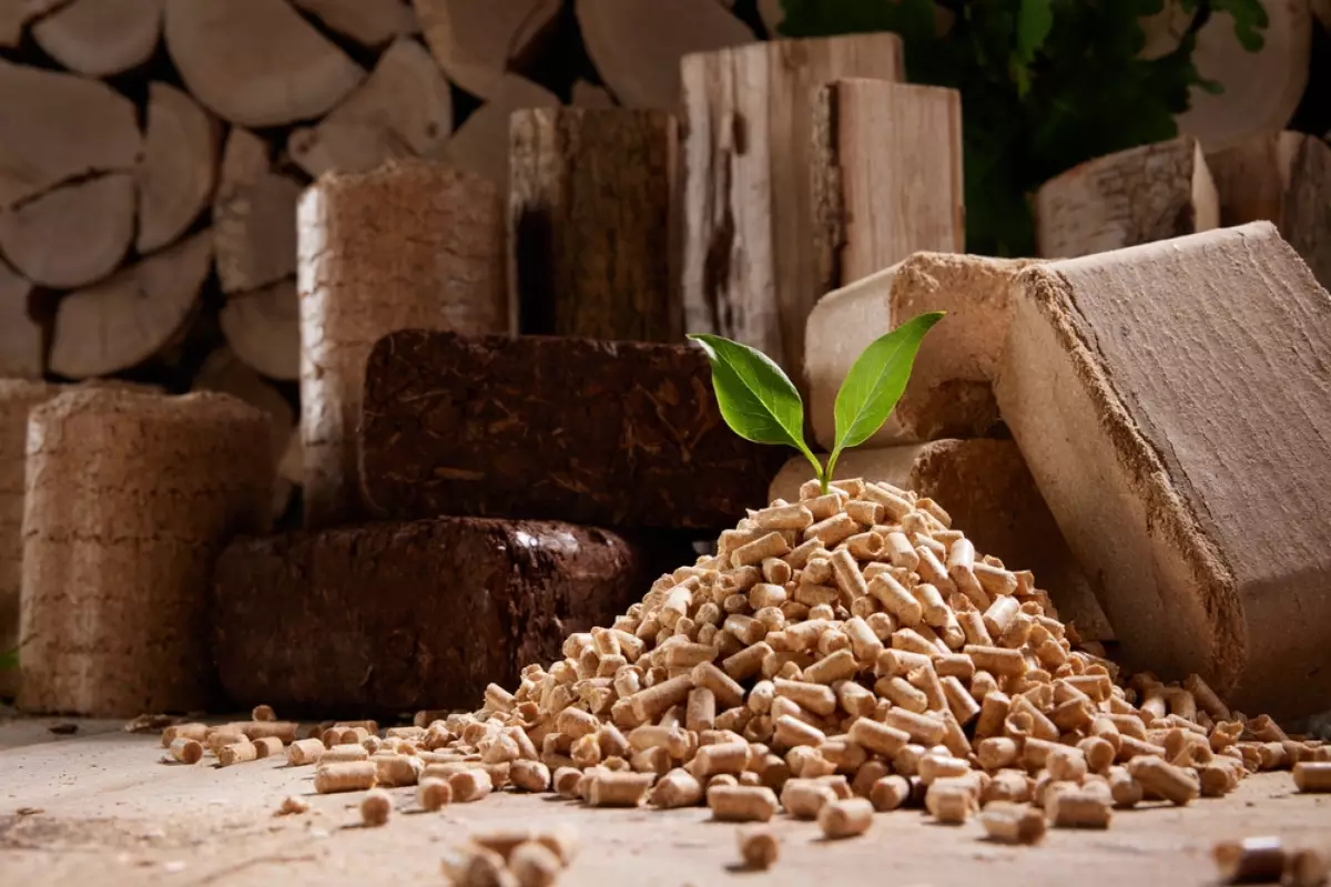 réseau de chaleur Nantes – un tas de pellets de bois avec deux feuilles qui en sortent