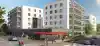 Programme Cèdres Angers