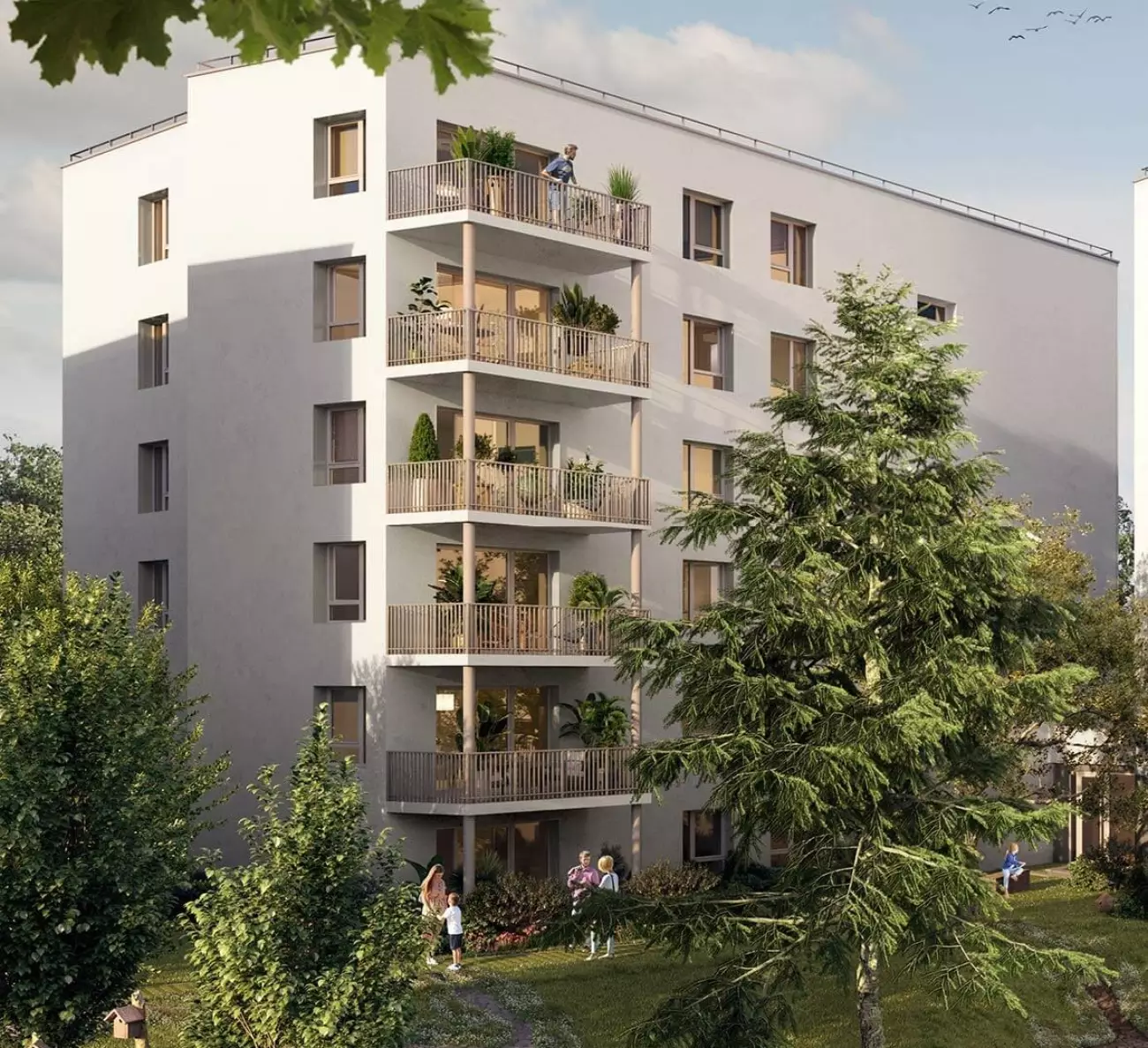 Programme Cèdres à Angers #7570 - aperçu n°2