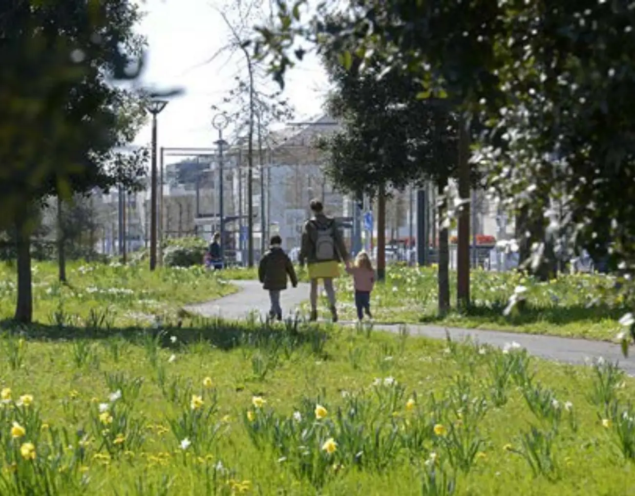 Programme Origin à Avrillé #8085 - aperçu n°10